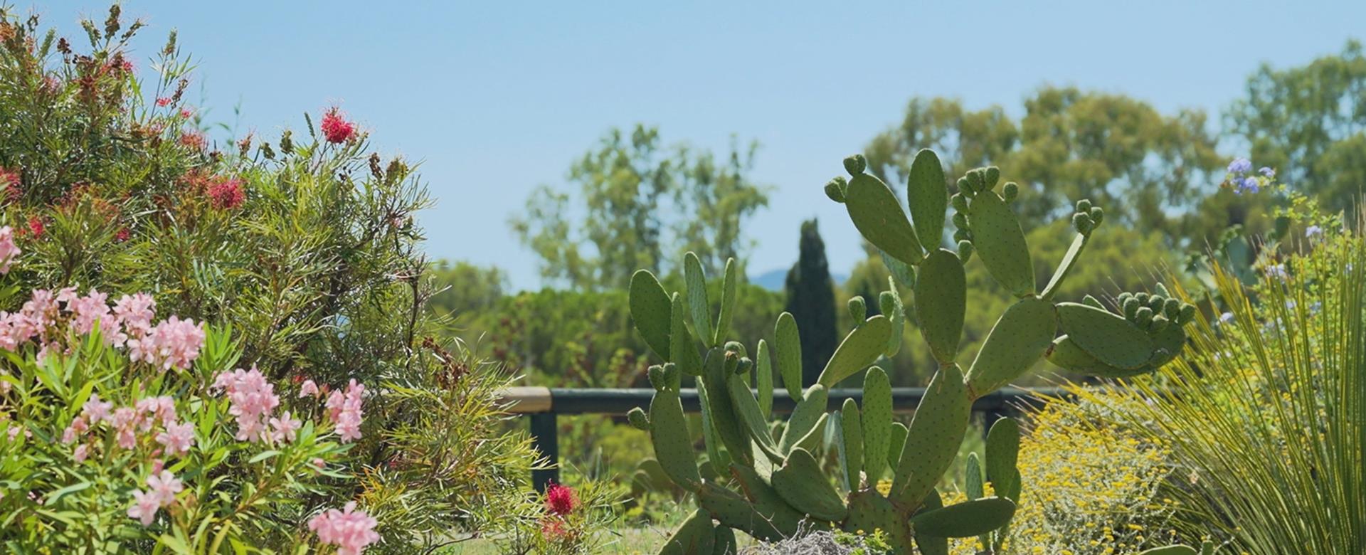 Vue de la mer entre les cactus depuis le jardin de l’hôtel 4 étoiles de la Fossette