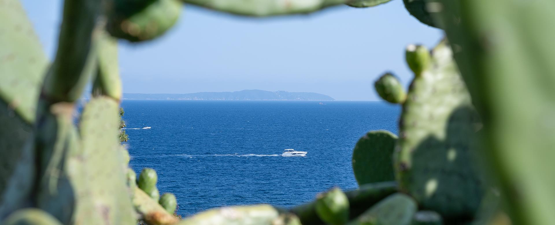 Vue de la plage de la Fossette entre les cactus depuis le jardin de l’hôtel 4 étoiles de la Fossette