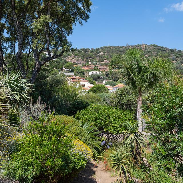 L'Hotel de la Fossette a Le Lavandou è rannicchiato in uno scrigno di verde ai piedi di una collina in riva al mare